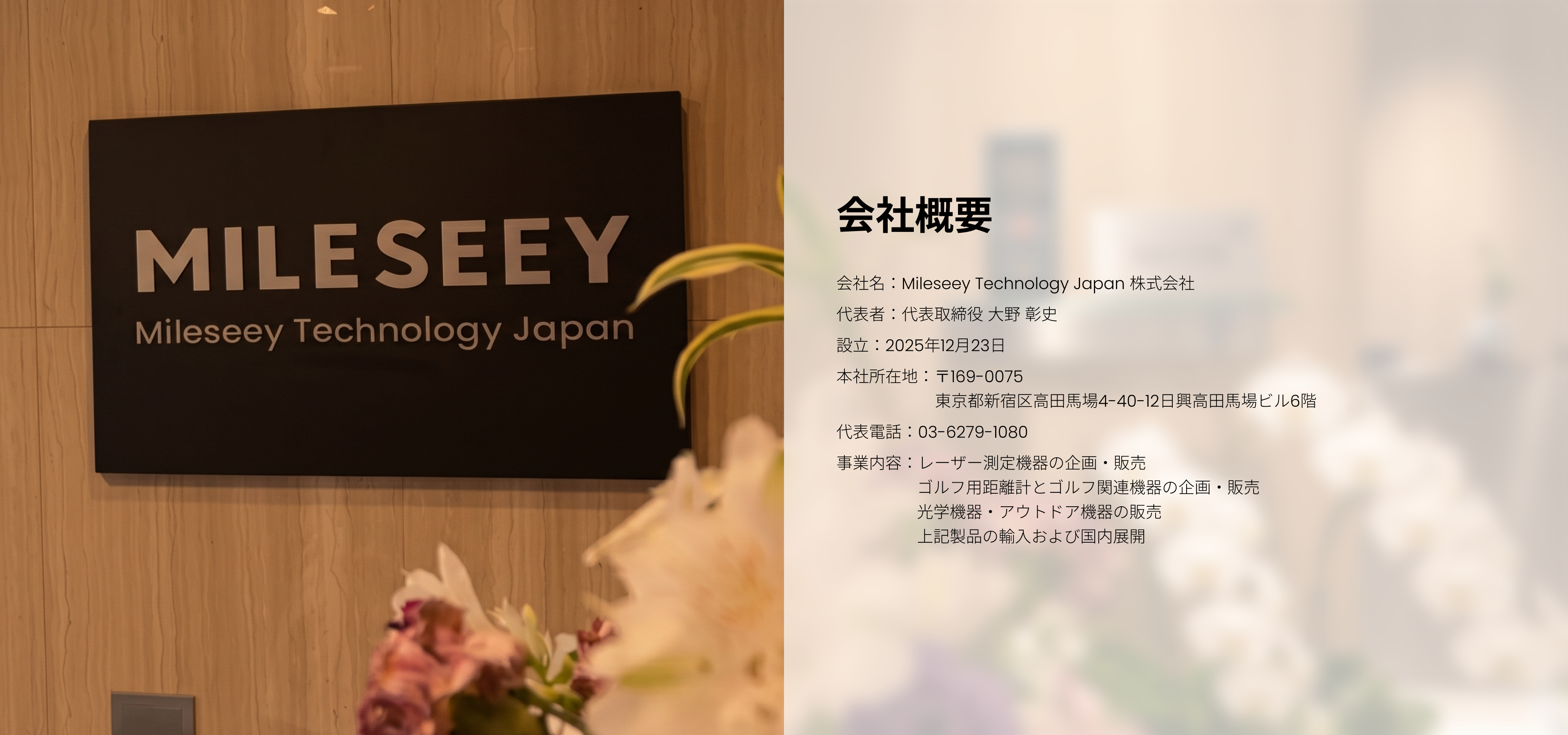 Mileseey visual